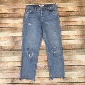 Pistola Size 29 Charlie High Rise Distressed Straight Leg Button Fly Jeans